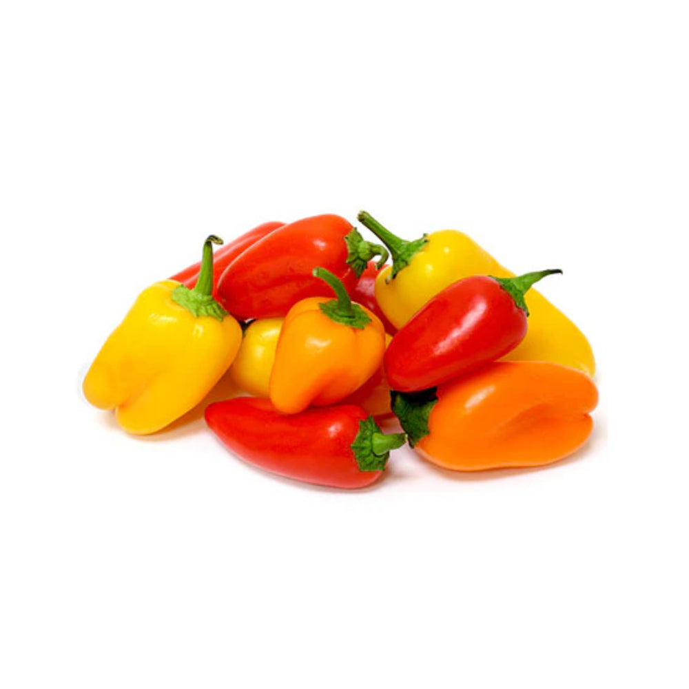 Capsicum Mini Mix Jordan 5-7 Pieces