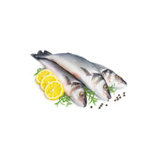 Sea Bass Turkey 400/600 Turkey 400g-500g Piece