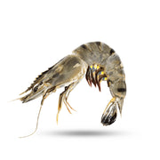 Black Tiger Shrimps U10 India 500g Pack