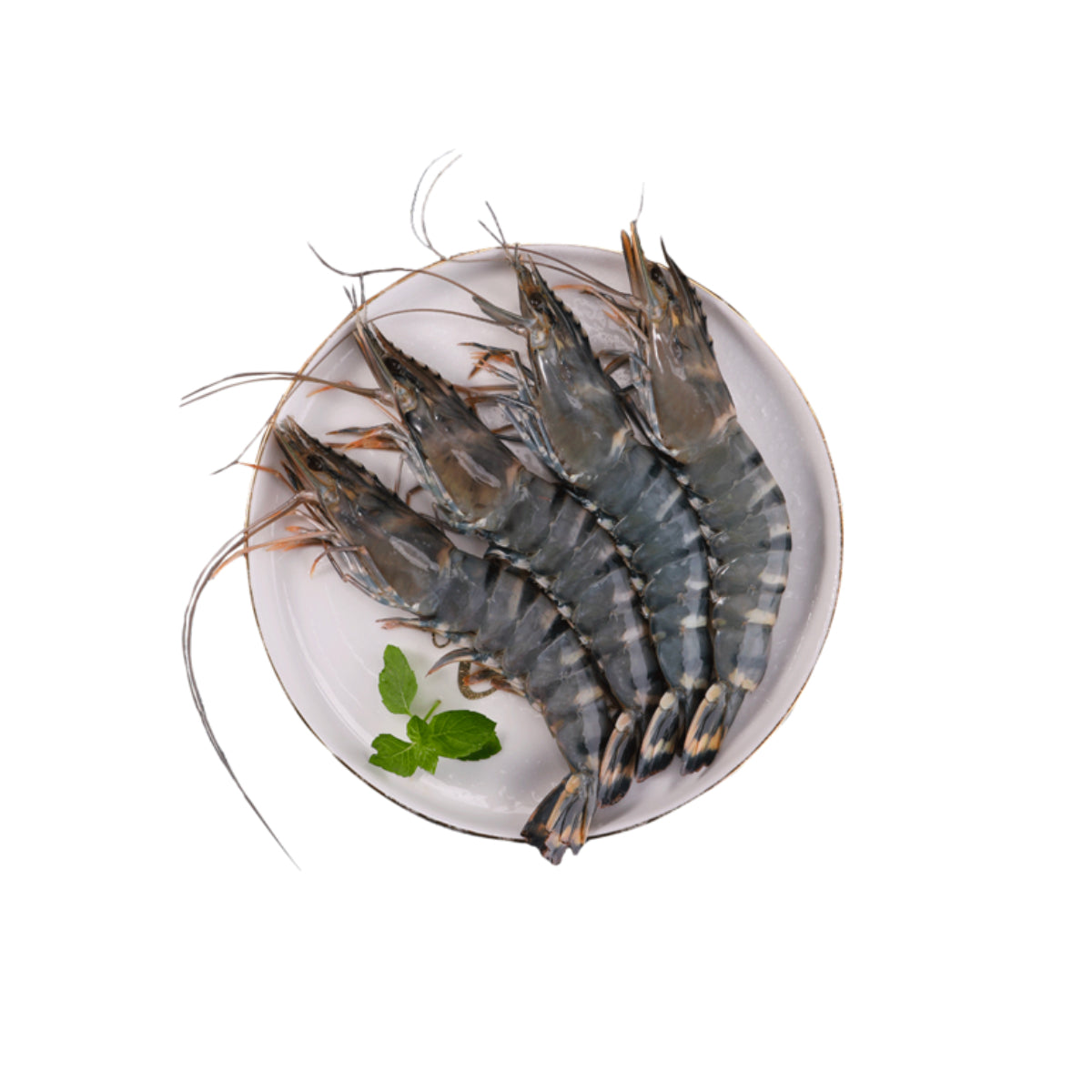 Black Tiger Shrimps U15 India 500g Pack