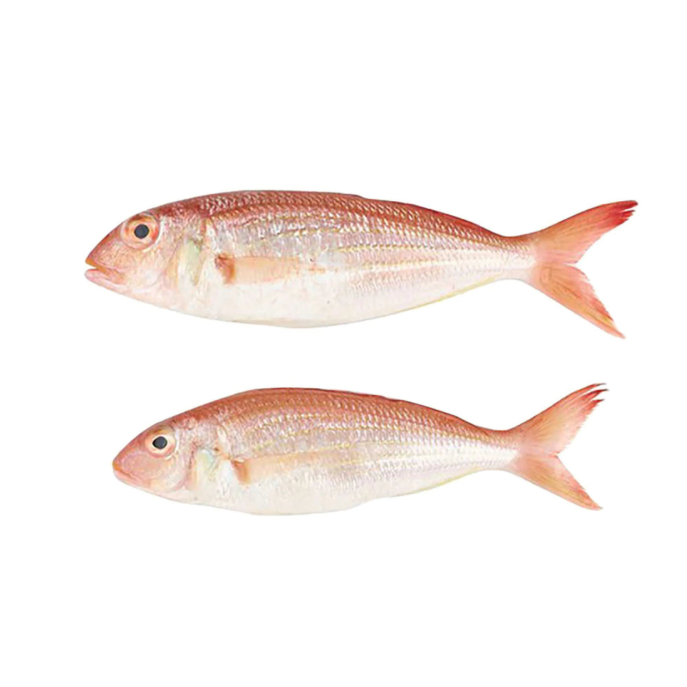 Fresh Local Sultan Ibrahim Uae 850g-900g