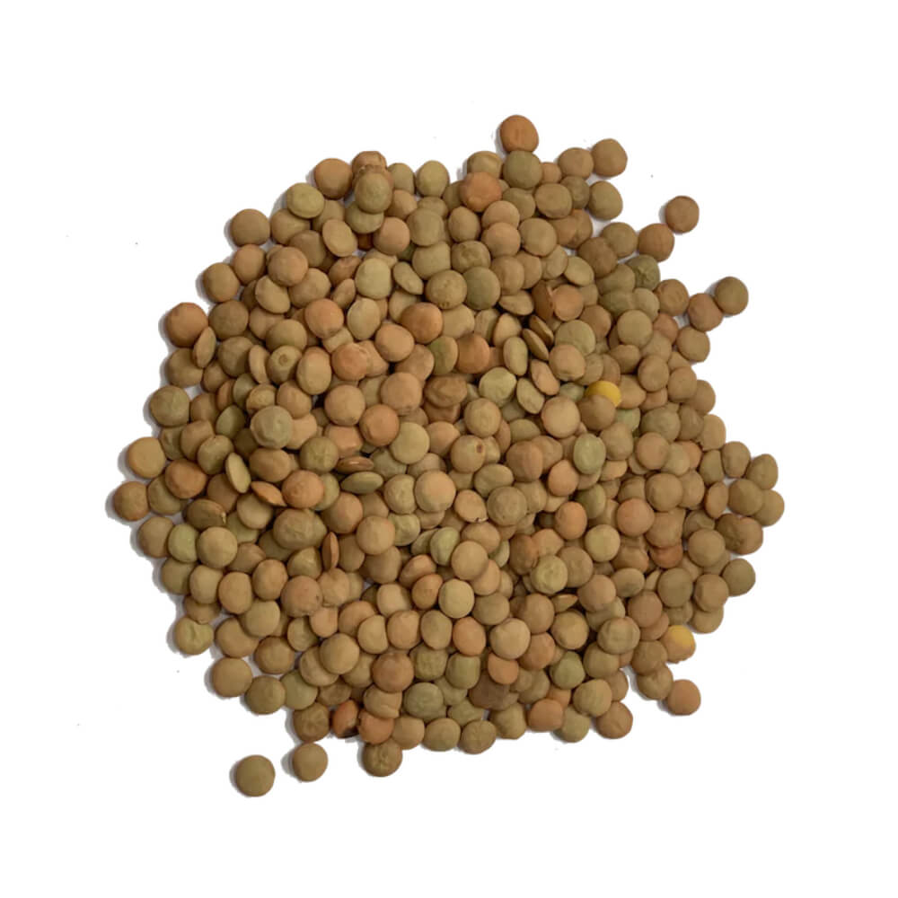 Al Douri Brown Lentils 250g