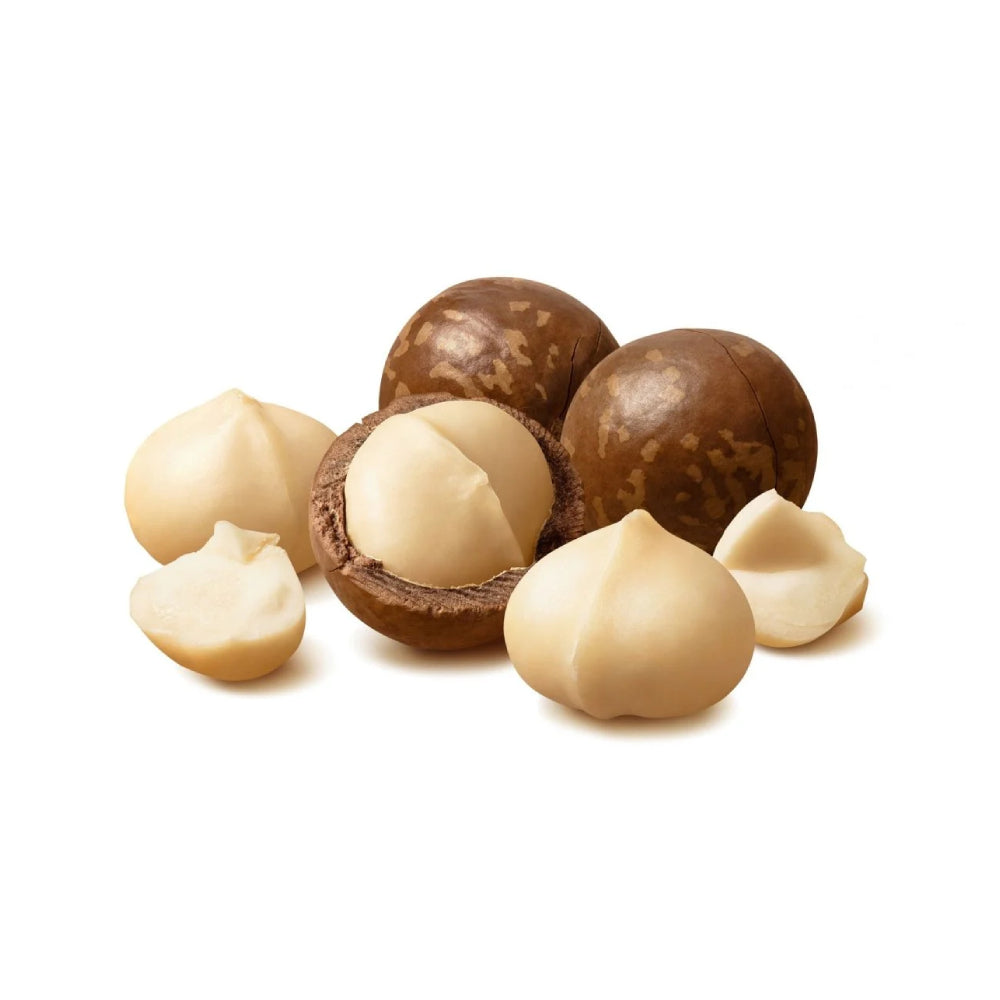 Al Douri Macadamia With Shell Large 250g