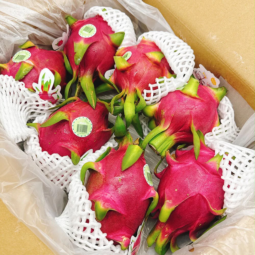 Dragon Fruit White Vietnam 4 Kg Box